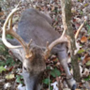 Meet your Posher, Barry